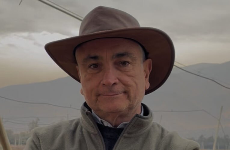 GreenChile, referente nacional en producción de pasto alfombra y construcción de canchas. 